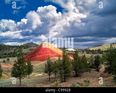 Red Hill et les nuages. Collines peintes, John Day Fossil jumeaux National Monument, Colorado Banque D'Images