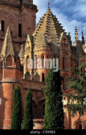 L'Espagne, Salamanque : Vue de l'ancienne cathédrale vu de Patio Chico Banque D'Images