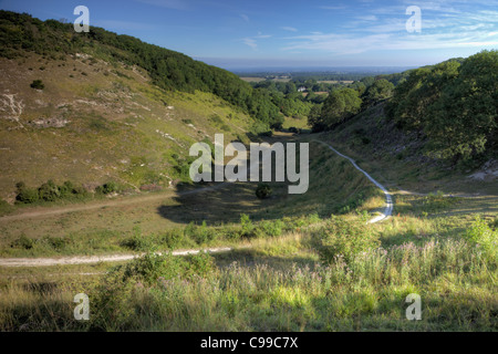 Sentier par Devil's Dyke, West Sussex Banque D'Images