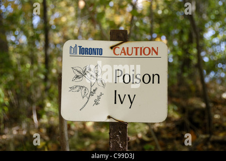 Un panneau de métal sur le bord d'une zone boisée dans la région de High Park Toronto Canada d'un avertissement de l'infestation d'herbe à puce Banque D'Images