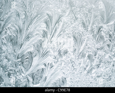 Givre sur une fenêtre ,Close Up ,pour le fond Banque D'Images