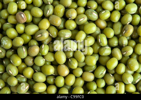 Les haricots mungo secs entiers. Ce type de haricot est souvent poussé à faire des fèves germées. Banque D'Images