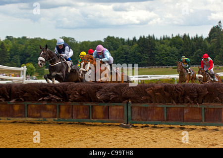 Courses hippiques à l'Hippodrome de Pompadour Banque D'Images