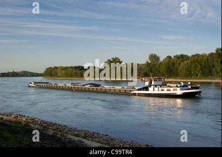 Freighter sur le Rhin, Spire, Rhénanie-Palatinat, Allemagne Banque D'Images