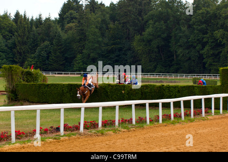 Courses hippiques à l'Hippodrome de Pompadour Banque D'Images