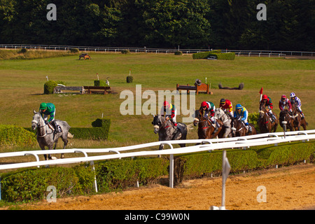 Courses hippiques à l'Hippodrome de Pompadour Banque D'Images