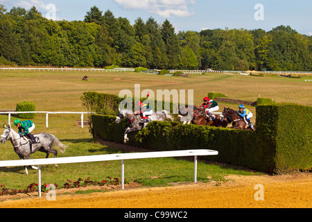 Courses hippiques à l'Hippodrome de Pompadour Banque D'Images