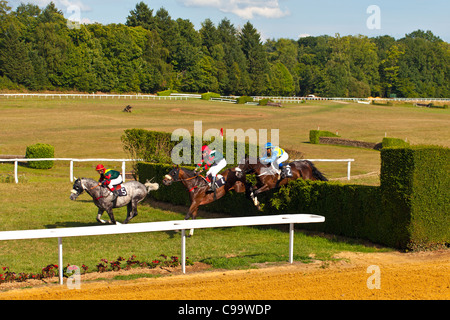 Courses hippiques à l'Hippodrome de Pompadour Banque D'Images