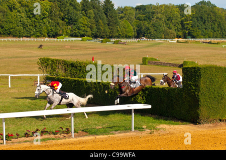 Courses hippiques à l'Hippodrome de Pompadour Banque D'Images