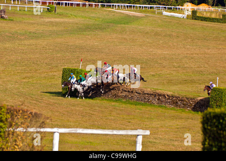 Courses hippiques à l'Hippodrome de Pompadour Banque D'Images