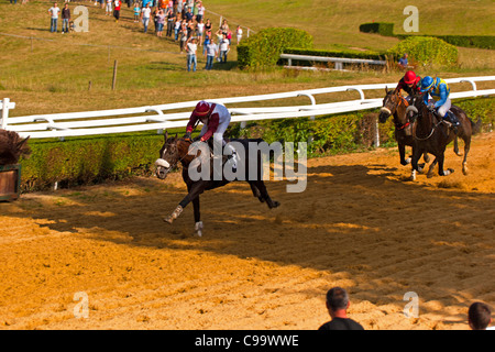 Courses hippiques à l'Hippodrome de Pompadour Banque D'Images