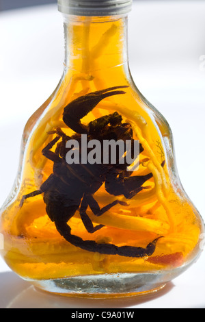 Bottlle of Scorpion Whisky Spirit Liquor - un exemple de la nourriture étrange ou bizarre mangée par les gens du monde entier Banque D'Images