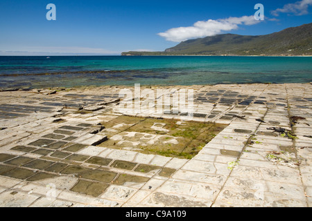 L'on Pavement - une formation rocheuse naturelle sur la péninsule de Tasman. La Tasmanie, Australie Banque D'Images