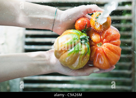 Italie, Toscane, Magliano, Close up of woman's se laver les tomates sous l'eau Banque D'Images