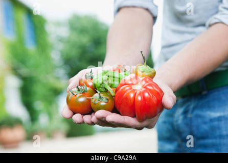 Italie, Toscane, Magliano, Close up of man holding tomatoes Banque D'Images