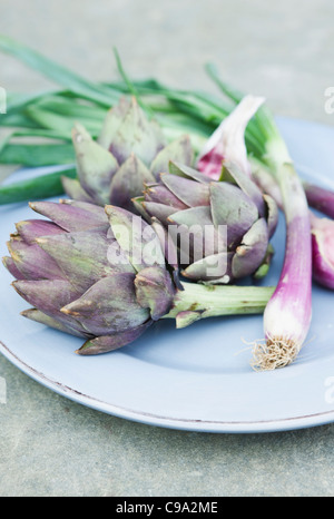 Italie, Toscane, Magliano, Close up d'artichauts et d'oignons de printemps dans la plaque Banque D'Images