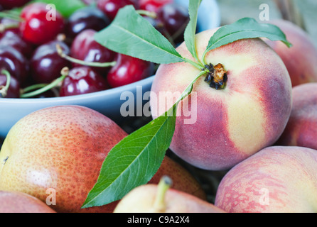 Italie, Toscane, Magliano, Close up de pêche, poire et les cerises dans un bol Banque D'Images