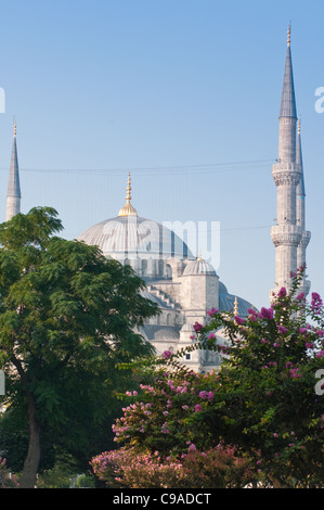 Mosquée Bleue, Sultanahmet, Istanbul, Turquie. Banque D'Images