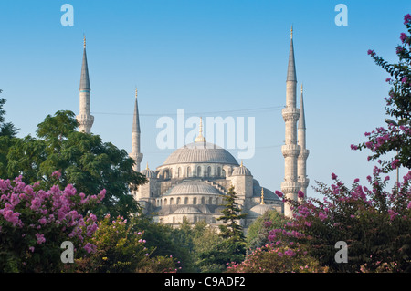 Mosquée Bleue, Sultanahmet, Istanbul, Turquie. Banque D'Images