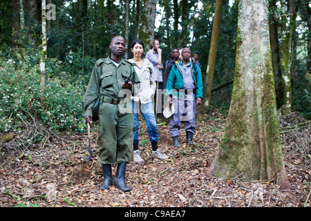 Tracker / trekking international et guide les touristes en randonnée pour voir les gorilles de montagne dans la forêt impénétrable de Bwindi, en Ouganda. Banque D'Images