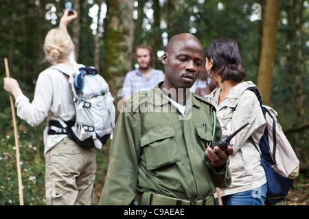 Tracker / trekking international et guide les touristes en randonnée pour voir les gorilles de montagne dans la forêt impénétrable de Bwindi, en Ouganda. Banque D'Images