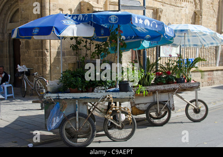 Vendeur de rue, la vente de plantes de jardin d'une brouette à Nicosie, Chypre du Nord Banque D'Images