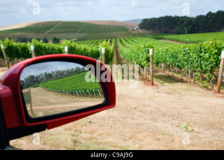 La conduite par les vignobles de la région viticole de la rivière Pipers. Pipers River, Tasmanie, Australie Banque D'Images