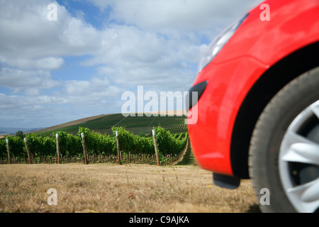 La conduite par les vignobles de la région viticole de la rivière Pipers. Pipers River, Tasmanie, Australie Banque D'Images