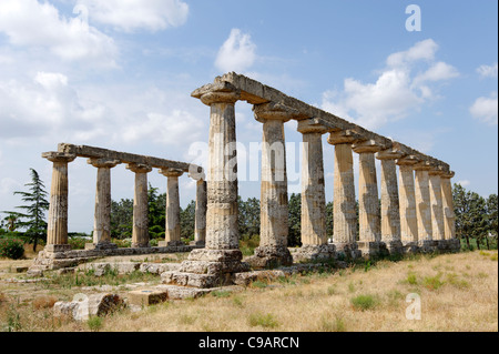 Metapontion. La Basilicate. L'Italie. Vue sur le majestueux temple dorique grec d'Hera datant du milieu du 6ème siècle avant JC. Banque D'Images