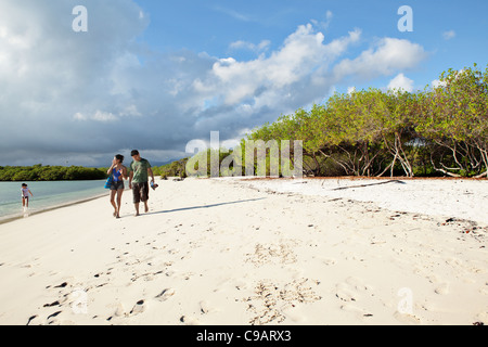 Tortuga Beach sur l'île Santa Cruz, Galapagos, Equateur. Banque D'Images