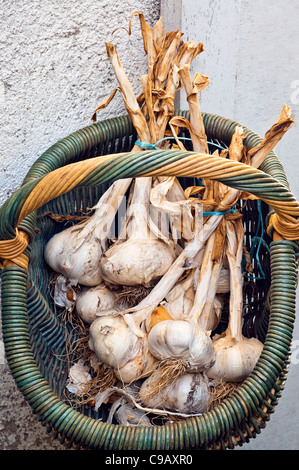 Bouquet d'ail éléphant / ampoules une saucisse végétarienne traditionnelle galloise dans panier en osier - France. Banque D'Images