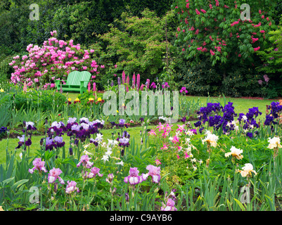Iris et autres plantes à fleurs avec chaise à Schriners Jardin d'Iris. Oregon Banque D'Images