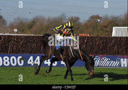 Cour suprême de Paiille monté par Paddy Brennan fait une erreur à la dernière clôture mais continue à gagner le toteexacta novices' Chase à Huntingdon Hippodrome, Brampton, Cambridgeshire - 19/11/2011 - CRÉDIT : Martin Dalton/TGSPHOTO Banque D'Images