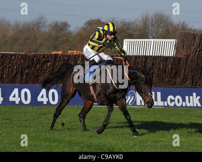 Cour suprême de Paiille monté par Paddy Brennan fait une erreur à la dernière clôture mais continue à gagner le toteexacta novices' Chase à Huntingdon Hippodrome, Brampton, Cambridgeshire - 19/11/2011 - CRÉDIT : Martin Dalton/TGSPHOTO Banque D'Images