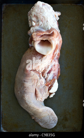 Langue de mouton ou d'agneau avec Gullet - un exemple de la nourriture étrange ou bizarre mangée par les gens du monde entier Banque D'Images