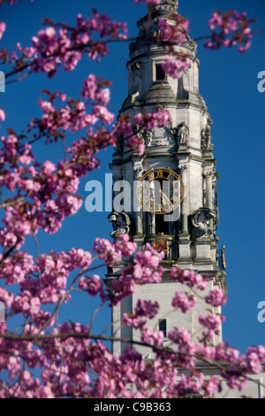 Tour de l'horloge de l'Hôtel de ville de Cardiff dans le printemps avec fleurs magnolia rose Centre Civique Cathays Park Cardiff South Wales UK Banque D'Images