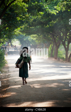 Fille de l'école indienne d'ossature à l'école à pied portant des livres sous une route bordée d'arbres. L'Andhra Pradesh, Inde Banque D'Images