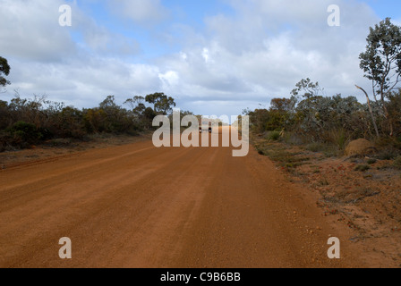 Le SEI sur une route de terre, au large de la côte sud de l'autoroute, l'ouest de l'Australie, l'Australie Banque D'Images