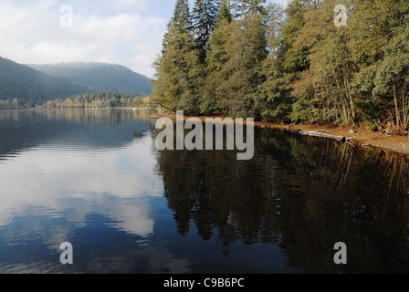 Le lac Titisee en automne à Titisee-Neustadt dans la Forêt Noire de Bade-Wurtemberg, dans le sud de l'Allemagne Banque D'Images