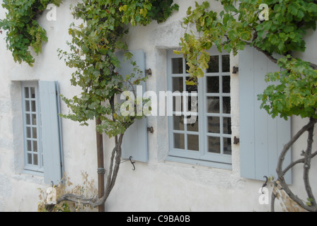 White-wahsehd façade d'accueil traditionnel avec du vin et de volets aux fenêtres en bleu clair dans St-Céneri-le-Gérei dans l'Orne, Normandie Banque D'Images