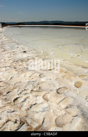 Salt Lake dans le Parc naturel régional de la Narbonnaise en Méditerranée dans l'Aude, Roussillon, France Banque D'Images