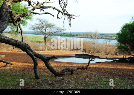 Le Zimbabwe est un petit pays doté d'une incroyable variété de paysages et d'animaux. Banque D'Images