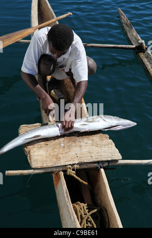 Un pêcheur malgache coupe un gros poisson en deux sur une planche de bois mince dans sa pirogue au large de l'île de Mamoko, Madagascar Banque D'Images