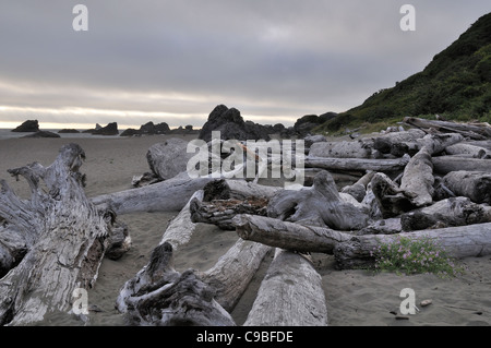 Surf de l'Oregon et du bois flotté sur la plage juste au nord de Brookings Oregon Banque D'Images