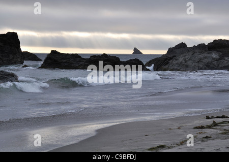 Surf de l'Oregon et du bois flotté sur la plage juste au nord de Brookings Oregon Banque D'Images