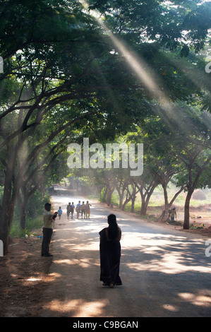 Silhouette d'une femme indienne marchant sur une route bordée d'arbres bien allumé. L'Andhra Pradesh, Inde Banque D'Images