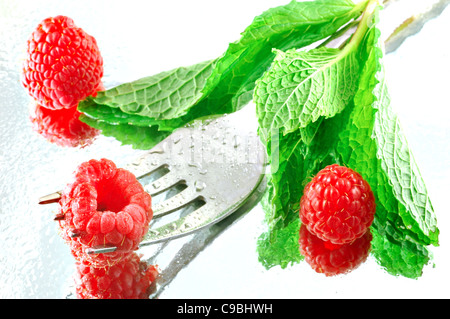 Framboises frais réfrigéré à la menthe sur un fond réfléchissant avec une faible profondeur de champ Banque D'Images