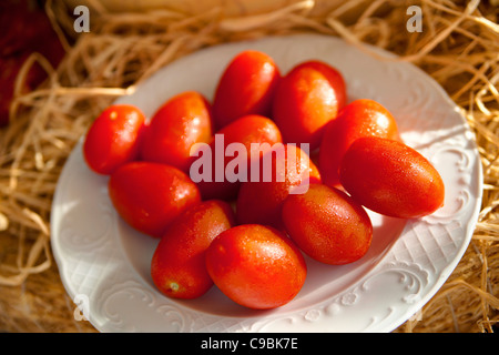 San Marzano tomates rouges Banque D'Images