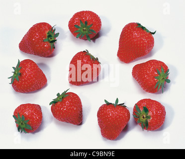 Fraises sur fond blanc Banque D'Images