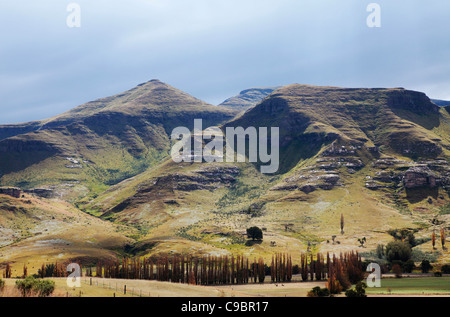 Vue sur montagnes Maluti, Golden Gate Highlands National Park, la Province de l'État libre, Afrique du Sud Banque D'Images